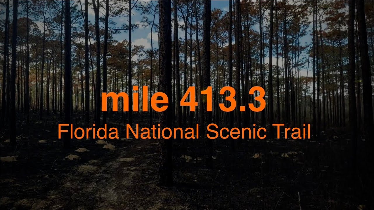 Florida National Scenic Trail: mi 413.3 - 434.2