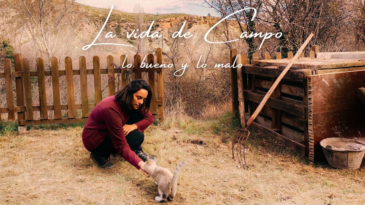 La VIDA en la MONTAÑA 💚 ( mi experiencia )