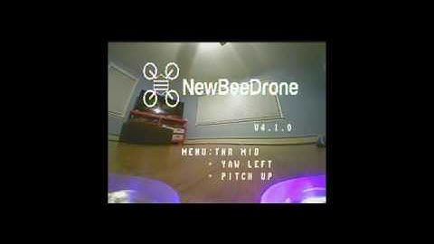 Hummingbird Brushless First Rip