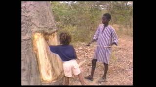 Baobab Tree Africa's Famous Upside-Down Trees- Ancient Legend