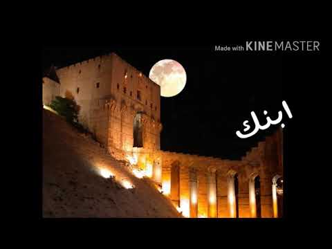 علي دولي حلب الشهباء