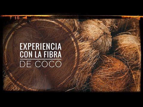 Experience with COCONUT FIBER 🥥 properties and how to hydrate it for use in seedbeds 🌱