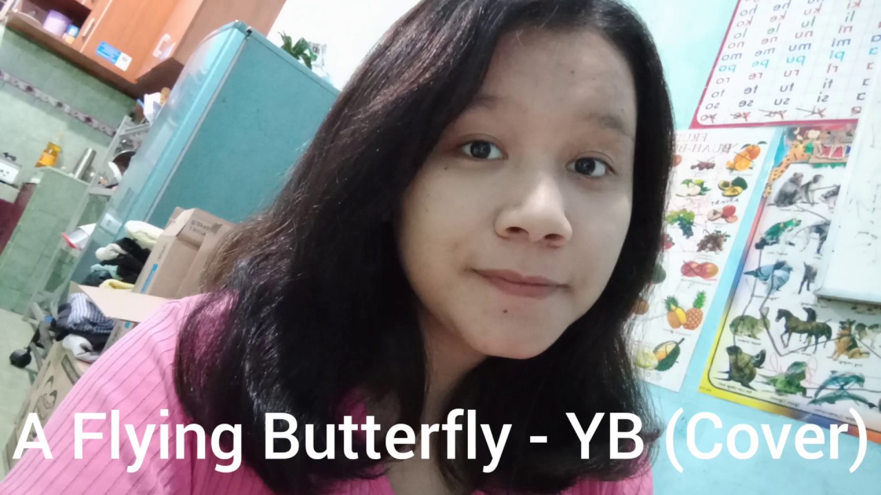 YB A Flying Butterfly (Cover) YouTube