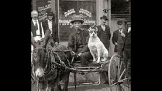 Snakebite (Gunsmoke): Old-time Radio Western
