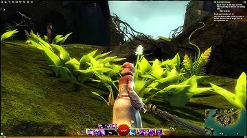 Guild Wars 2: Straits Of Devastation Vista - Shark