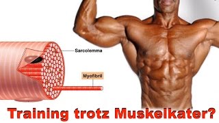 Auf Den Muskelkater Drauf Trainieren Youtube