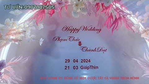 Mẫu Cổng cưới,Sân khấu,Backdrop đa năng nhất năm 2024