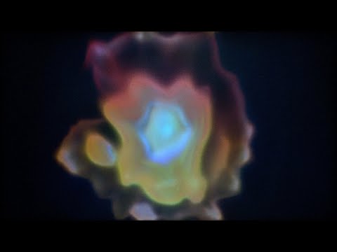 PHYSARUM CHROMATIC