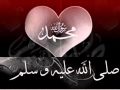 فداك ابي وامي يارسول الله...