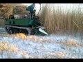 Reed harvester FOR SALE, Estonia