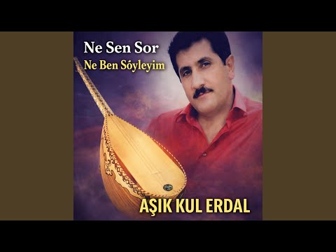 NE SEN SOR NE BEN SÖYLEYİM