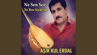 Ne Sen Sor Ne Ben Söyleyi̇m
