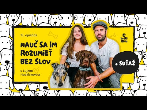 Video: Len 25 mačkaní s ich obľúbenými plnenými zvieratami