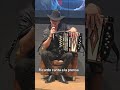#espectaculo #farándula #musica #regionalmexicano #acapella #entrevista #cantante # #acordeon