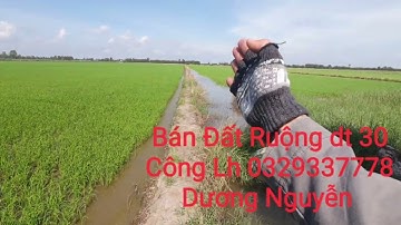 Nhà Đất Bán Đất Ruộng vườn dt 30 Công Giá 135tr Công Mộc Hóa Mới LA