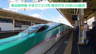 東北新幹線 やまびこ212号 東京行き E5系U36編成 2024.03.09