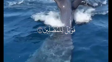 سورة الماعون بصوت القارئ الشيخ احمد العجمي مكتوبة