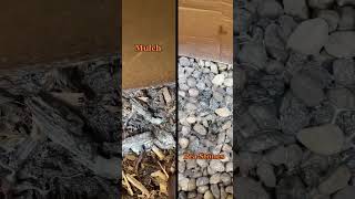 Gluing Mulch vs. Gravel #diyprojects #mulch #gardendesign #gardenlandscaping #landscaping #garden