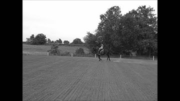 Myler Combination Bit {Before & After}