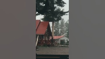 Khoảnh khắc sét đánh vào một cái cây