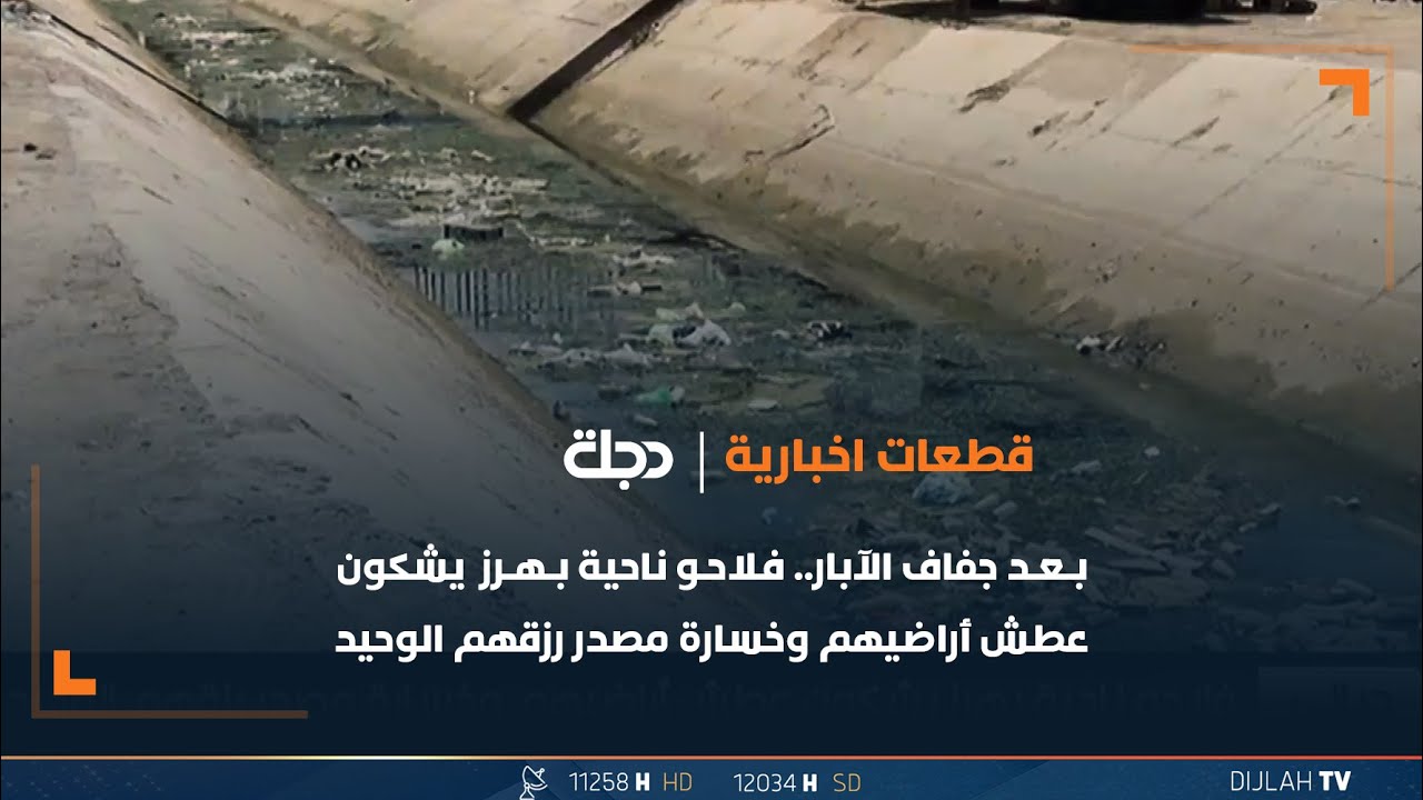 بعد جفاف الآبار... فلاحو ناحية بهرز في ديالى يشكون عطش أراضيهم وخسارة مصدر رزقهم الوحيد