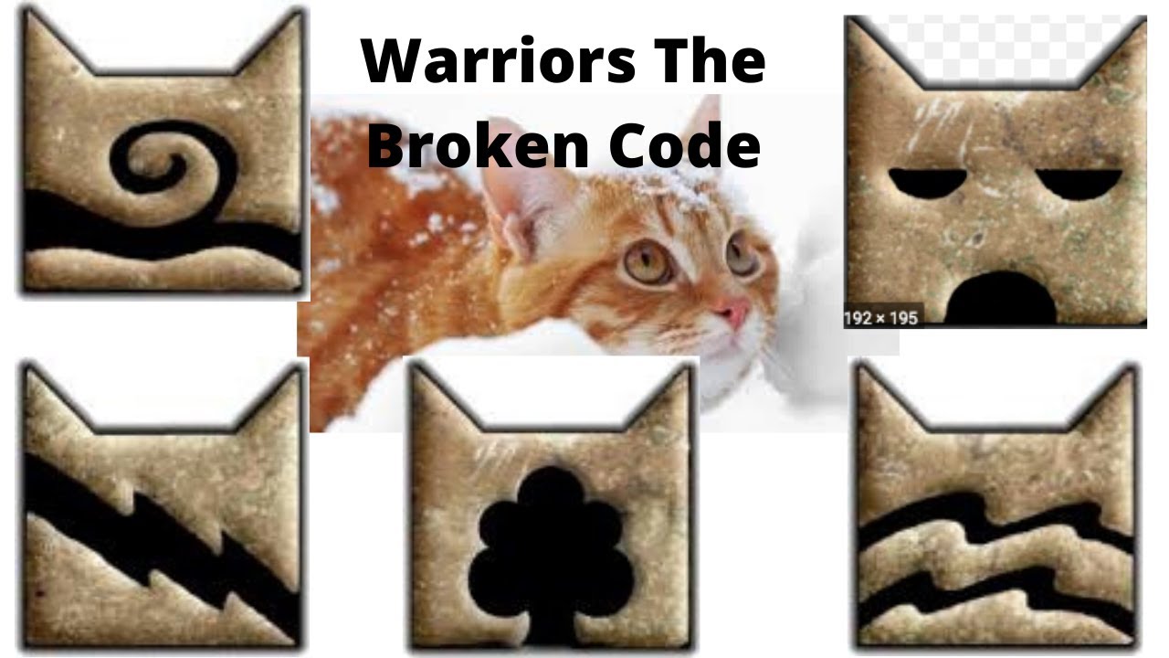 warriors the broken code lost stars