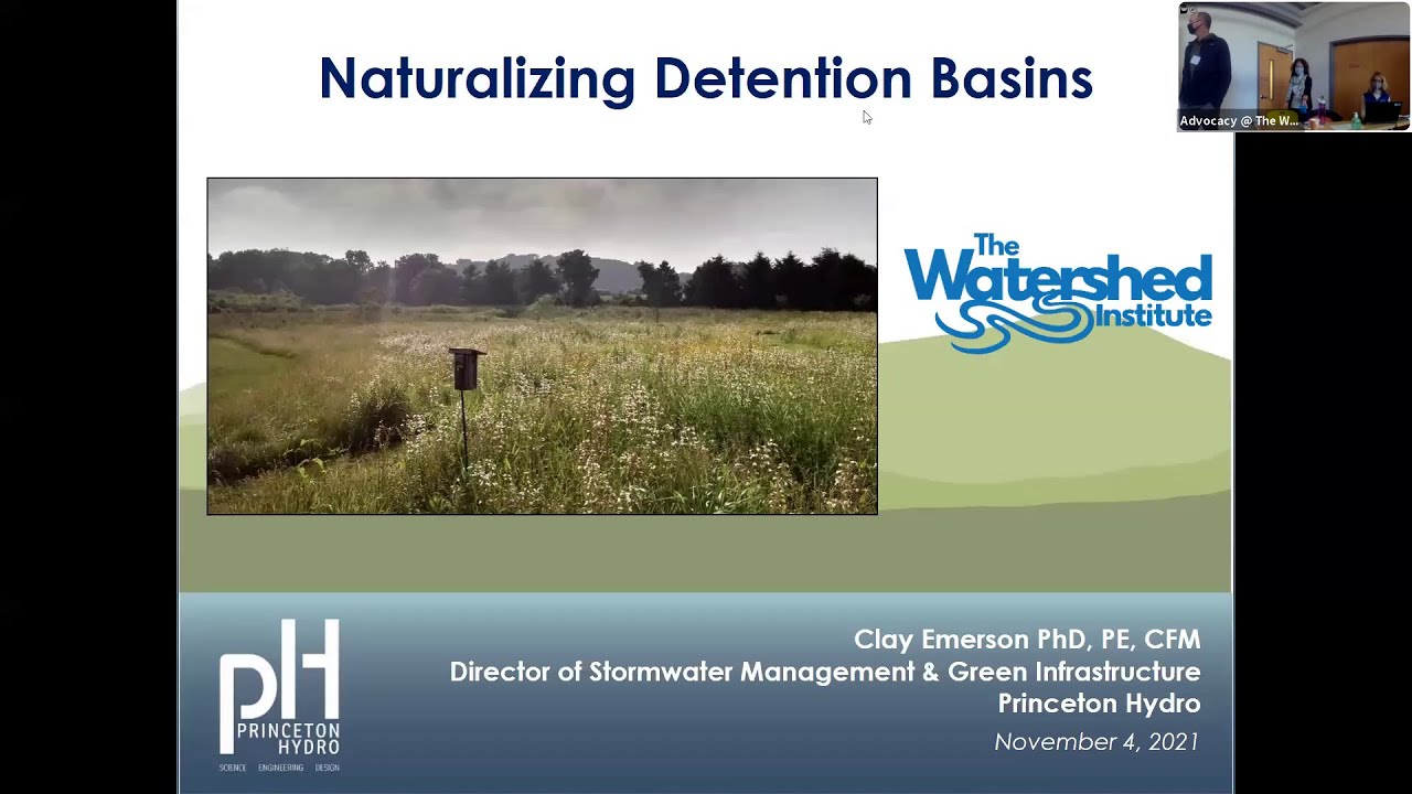 Naturalizing Detention Basins