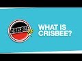 What is Crisbee? & How To Use It