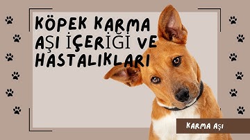 Köpek Karma Aşı Etkenleri Ve Önemi