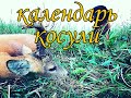 Календарь КОСУЛИ.