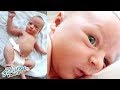 Newborn Baby Umbilical Cord Falls Off ~ Brand New Belly Button!