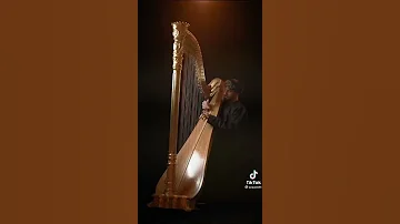 عمر خيرت 