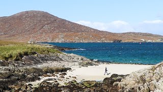 EXPLORING THE COAST OF A TINY SCOTTISH ISLAND | foraging seaweed, meeting a seal & a beach sunrise