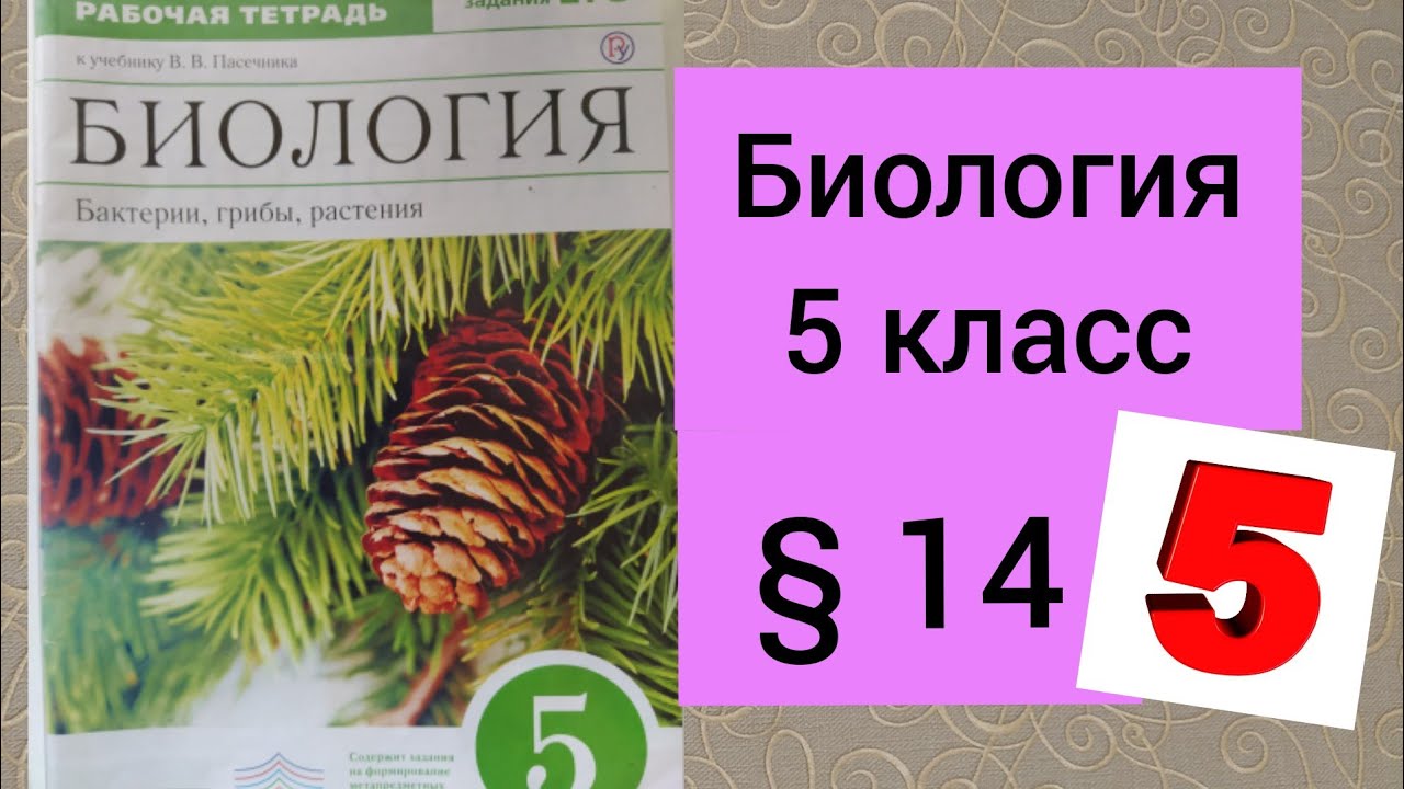 Биология 5 класс параграф 16 17 18