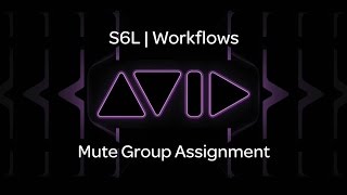 VENUE | S6L — Mute Group Assignment