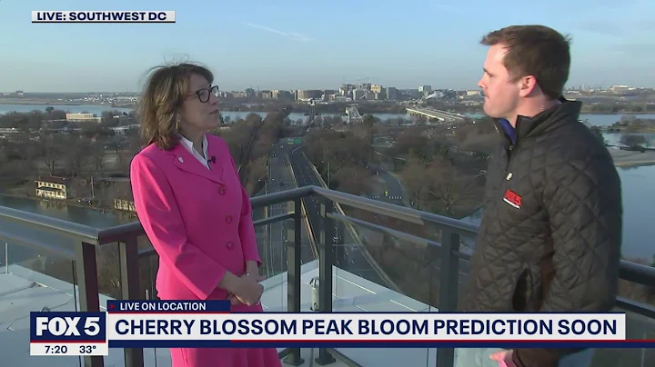 DC region ready to celebrate famous cherry blossoms for 2022 season | FOX 5 DC