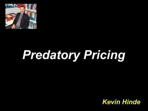 example of predatory pricing strategy example of predatory pricing strategy
