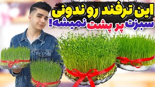 آموزش سبزه عدس و سبزه گندم با تمام نکات مهم سبزه عیدنوروز