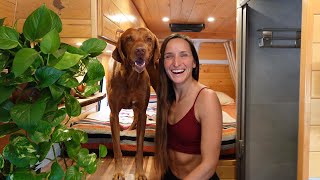 Van Life With A Dog  Tips Training  Must Haves  