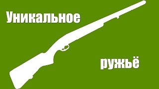 Я купил уникальное ружьё! Я купил уникальное ружьё!
