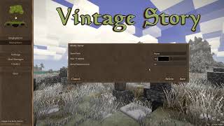 How to setup your own dedicated Vintage Story server.