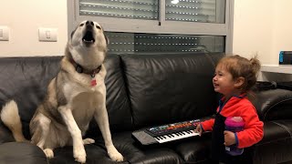 Can This Dog Sing? |  Funniest Pets Of The Month (November 2022)