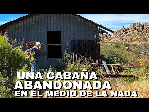 Video: La Cabana Cu Un Animal De Companie
