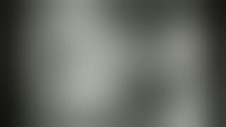 OLD BALI, Year 1910 to 1930