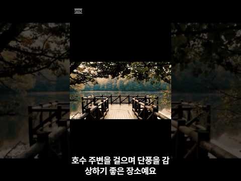 #가을 #선선한 #데이트 #데이트코스추천 #가을여행지
