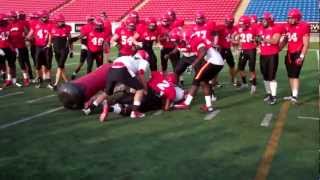 Dinos Training Camp 2012