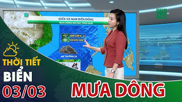 Thời tiết biển 03/03/2022: Vùng biển phía Nam mưa dông rải rác, đề phòng lốc xoáy| VTC14