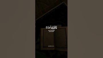 سورة الإخلاص بصوت القارئ محمد هشام #quran #قران_كريم #حالات_واتس #ستوريات
