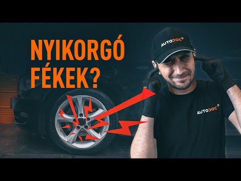 Videó: Hogyan tudom, hogy a nyulam meleg és fajtájú?