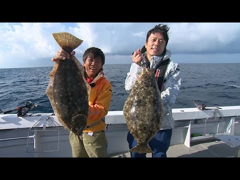 【釣り百景】#269 玄界灘で高級魚連発！釣って食して落し込み釣り